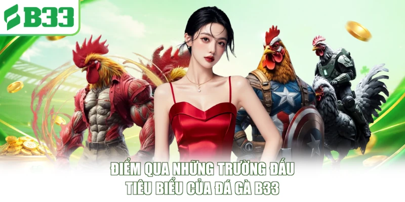 Điểm qua những trường đấu tiêu biểu của đá gà B33