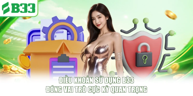 Điều khoản sử dụng B33 đóng vai trò cực kỳ quan trọng