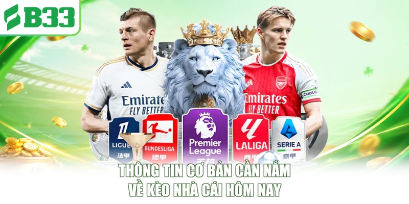 Thông tin cơ bản cần nắm về kèo nhà cái hôm nay
