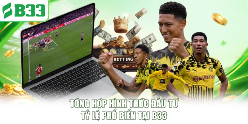 Tổng hợp hình thức đầu tư tỷ lệ phổ biến tại B33